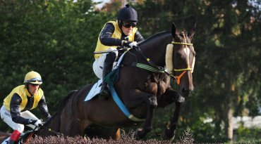 velka pardubicka