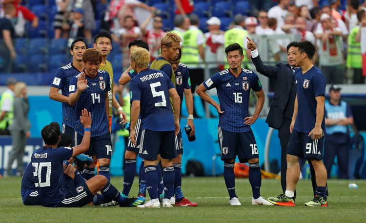 Veľký japonský kohúty