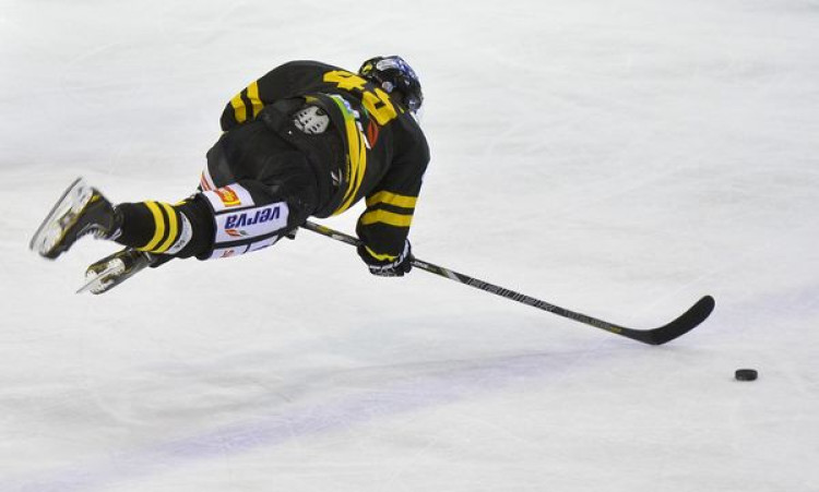 Česká hokejová liga prekonala divácky rekord, zápasom v Nemecku. Boli pri tom aj Slováci